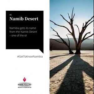 In celebration of Namibia's Independence – the birth of the Land of the Brave – we’ll be sharing amazing facts about our incredible country throughout March 🇳🇦 Share this post with #NamibiaTurning32 to show off our beautiful home! #NPI #Namibia #NamibiaTurning32 | Namib Poultry Industry