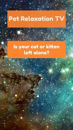 10 Hours of Stars & Piano Ambience for Cats & Kittens | Cosmic Relaxation