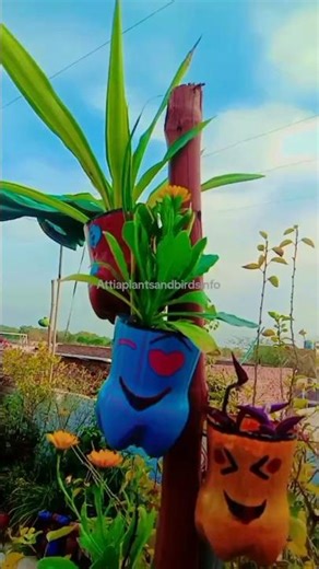 Beautiful Garden Decoration Ideas with Waste Bottles.