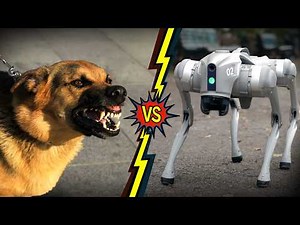 Der Hund der Zukunft?! Unterwegs mit dem Unitree Go2 Air Robot Dog