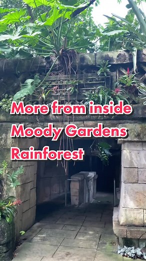 Exploring Galveston's Moody Gardens Rainforest Pyramid