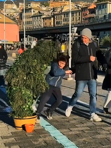 Hello🌲😂#funny #prank #comedy #fyp