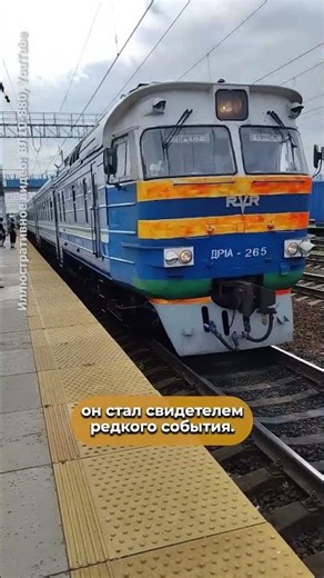 Вой поездов в Бресте мешает местным? Мужчина снял на видео непрерывный гул в районе станции