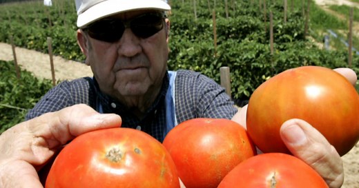 FDA proposes new safety rules on imported food