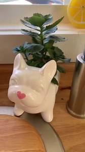 They transformed a tiny house with clever hacks!💛