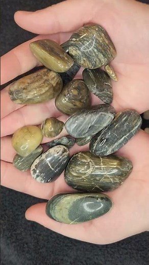 Rock Tumbling Petrified Wood!