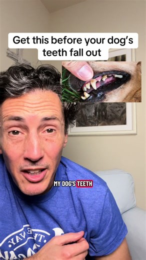 Doggie dental powder. #puplabs #prodenta #dogdentalhygiene #dogdentalpowder #