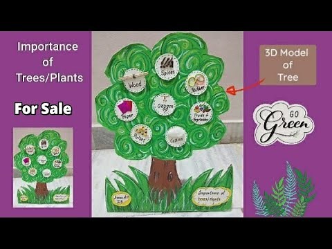 Importance of trees working model,tlm,How to make trees for model