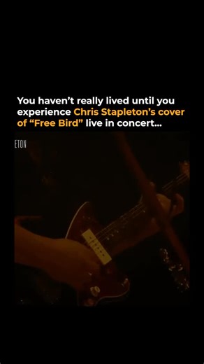 Country Queue on Instagram: "When Chris Stapleton covers “Free Bird” live in concert, it feels less like a cover and more like a moment of reverence. Instead of chasing the song’s iconic, high-octane guitar solo note for note, Stapleton leans into its soul—letting his raw, weathered voice stretch the lyrics until they ache, turning each line into a slow burn of Southern grit and freedom. “Free Bird” has long stood as a symbol of independence, restlessness, and the open-road spirit at the heart o