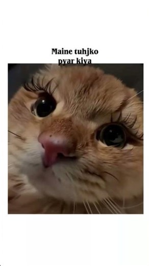 new ad Bournvita😂 #cat #funny #aestheic #memes #viral