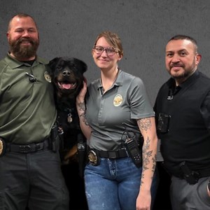 5.5K views · 67 reactions | ‍♂️ Happy International Day of...