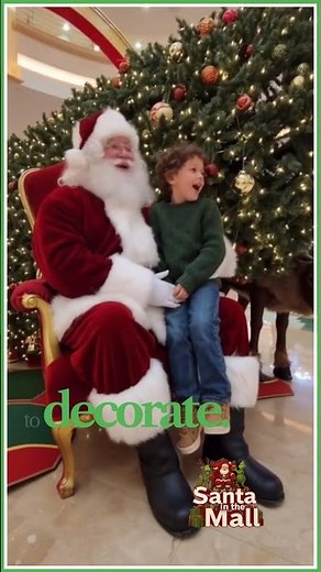 The Funniest Santa Mall Visit Ever!