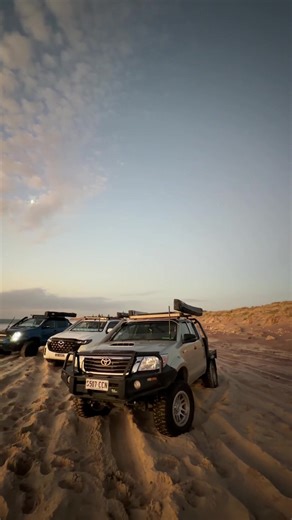 Exploring the Latest Canopy Loading Techniques