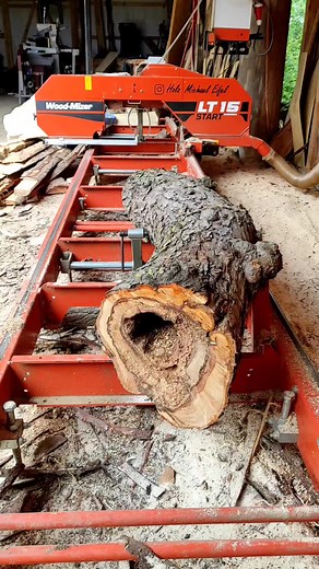 Apfelholz und die Magie des Sägewerks