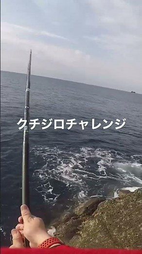 #石鯛釣り#クチジロ釣り#クチジロチャレンジ