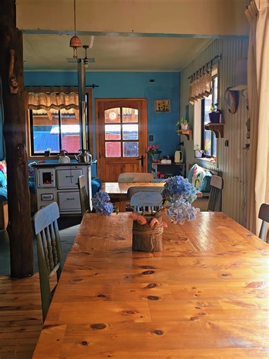 Flores de Invierno Melimoyu: Hortensias Secas y Naturales