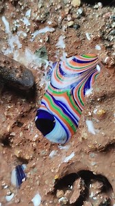 Gems, Gold & Crystals – Nature’s Most Precious Treasures! 💎✨ #agate #crystal #gold #gems #diamonds #goldmines #emeralds #pearl #preciousstones #luxurylife | Gold Amazing