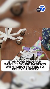 19K views · 162 reactions | One California hospital is putting a smile on children's faces in an innovative way - through the power of robotic puppies. 烙 Stanford University's robotics students are helping young patients by providing them with a makeshift pet to brighten their stay at the hospital and help them cope with anxiety before surgery. | ABC7 | Facebook