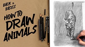 Back to Basics: How to Draw Animals | Paul Richmond | Skillshare