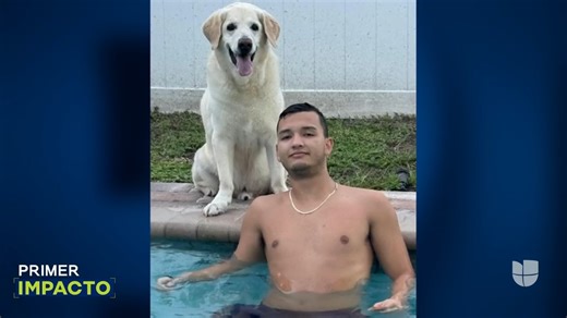🚨 Joven hispano muere tras chocar con un auto que iba en sentido contrario: “Es un dolor muy fuerte”. 📺 No te pierdas #PrimerImpacto de lunes a viernes a las 5 PM / 4 C por @univision. | Primer Impacto
