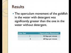 observing the operculum movement of goldfish under different environments