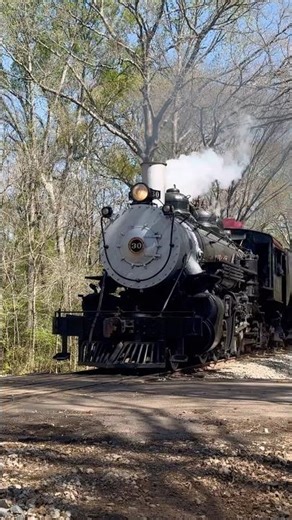 FAST Steam Train! Fastest I’ve ever seen the Texas State Railroad no.30 move! Look out! 👀
