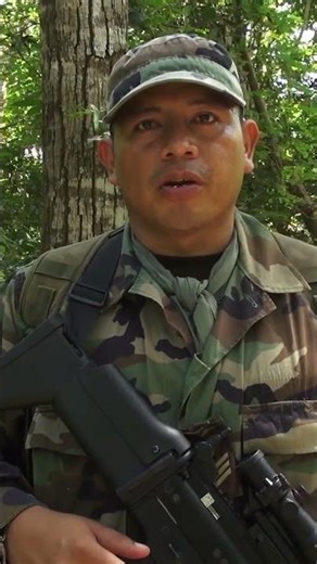 Alien Origin #shorts