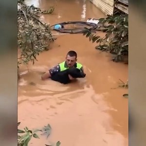 216K views · 15K reactions | During the flood, Naomi found safety on the roof of her house but couldn't bring her dog Sadie with, too big to be lifted. Sadie was swamped away by torrential water, and Naomi was sure she had lost her best friend forever... 梁 | Bondi Vet | Facebook