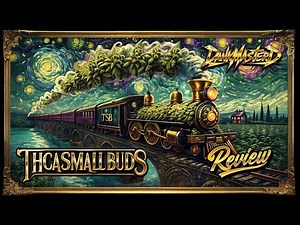 🔥 THCASMALLBUDS 2 Strain Review 🌿 | Slurricane 💜 & White Rhino 🦏 Tested 👑💨