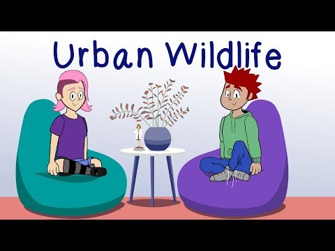 Urban Wildlife | Science Trek: The Podcast