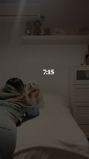 🩵 #fyp #parati #sully #bichonmaltes #perros