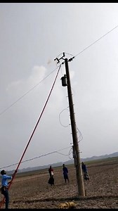 Damage XFR test #pbslinemanbd #ViewMyReels #viralspage #Lineman #virals #seftyfirst #linework @ [202029522793906:49210:@followers] @ [359575997039257:49210:@top fans] Everyone Pbs Lineman Bd PBS bangla বিদ্যুৎ পরিবার Lineman BD দুরন্ত লাইনম্যান Kuya AR AR Warriors of Light Mohammad Imran Abir Hossain Saddam | PBS LINEMAN BD