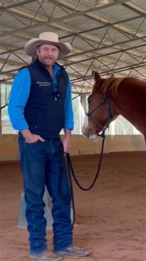 MEMBERSHIP VIDEOS 🐴 Mental Yields - helping aggression Understanding aggression; a thought change and how to keep your horse mentally present - which can reduce hard thoughts. An in depth look into ‘mental yields’. In this excerpt Mark works with Coolie, a previously shut down horse who can present with defensive aggression due to previously being unable to act on his thoughts. 🔵 Do you have a horse that struggles with defensiveness and mental brace? Learn how to redirect your horse’s thoughts