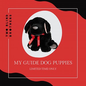 The Snuggle is Real! 🥰 This holiday season, the we are offering giftable, limited-edition guide dog plush "puppies in training". 🦮 Guide dogs mean so much to the visually impaired community. They help the community get around freely, see their loved ones more often, and experience life to the fullest. So, we wanted to show our appreciation by creating these guide dogs, a special helper, for you or that person who has helped you in life. 🐾 Guider, Beacon and Braille each come with their own sp