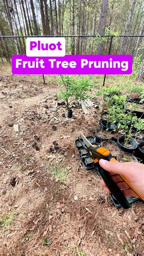 12K views · 125 reactions | What last pruning questions do you have...