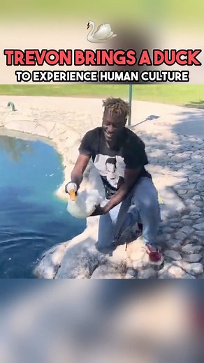 Trevon Clips on Instagram: "In an unlikely bond, Trevon and Jeffrey the Duck form a friendship through Trevon introducing the duck to human culture. Though initially hesitant about the journey, the duck eventually develops a deep appreciation for western culture, forging a lasting bond with Tre that neither of them will ever forget. . . #fyp #duck #ducks #friendship #trevon"