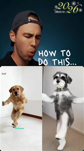 AI Baby Dance: Create an Adorable Baby Video