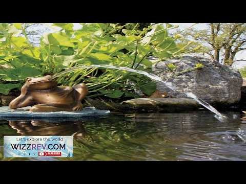 Aquascape Lazy Frog on Lily Pad Spitter Fountain for Ponds and Water