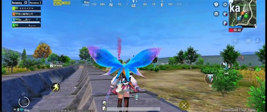 New Update on Titli Features You Should Know