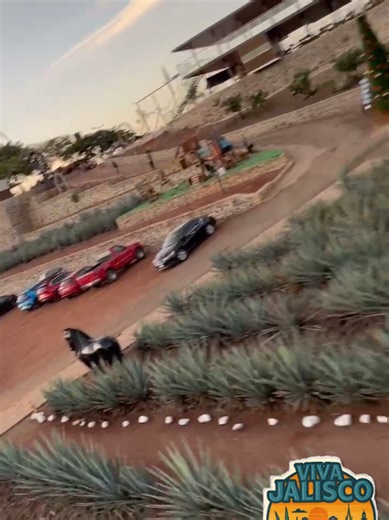 TIROLESA TOUR TEQUILA #tirolesa #columpioextremo #tequilajalisco🇲🇽 #toursgdl #aventuraextrema