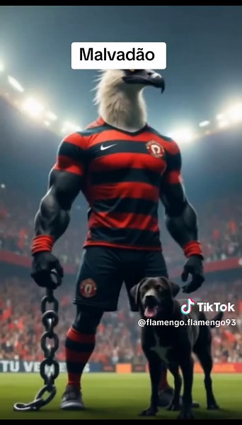 flamengo e fluminense #flamengosempre #vencer #malvadao