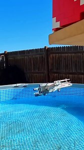 14K views · 96 reactions | Can LEGO Planes Actually Fly？ #shorts #trending #fyp #viralpage #viralvideo #reelsviral #virals #shorts #challenge #minecraft #newreels #fbreels #reels #dogememe #videos #lego #viralreels #mechanical #trendingreels #Shorts #reelsfb | Historical Diaries | Facebook