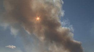 6,000 pigs killed in large Madison County barn fire
