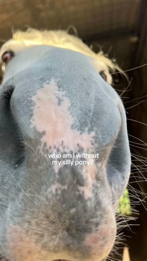 Who am I without my silly pony? 🫶