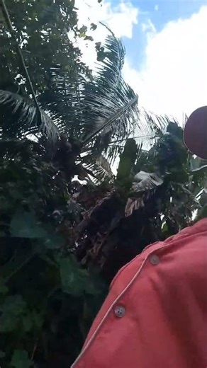 muntik pa ako duma os os pababa kaluka dulas ng daan hahahaha