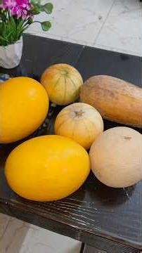 😍4 varieties of కర్బుజా or Muskmelon 😋😍 #shprts #viral #trending #ytshorts