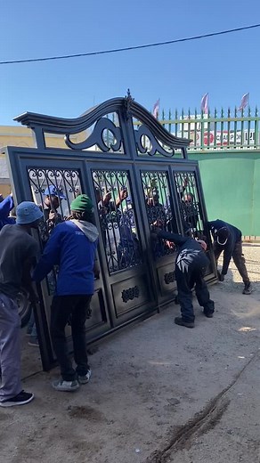 Ray Risseeuw on TikTok