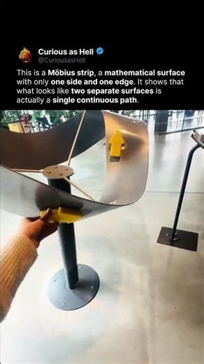 The Magic of the Möbius Strip ✨
