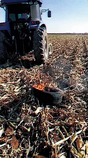 Blue Tractor Working in a Rural Field