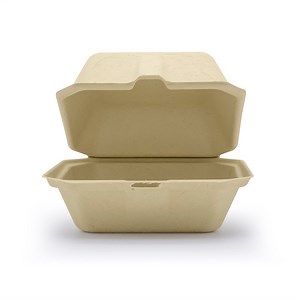 6" x 6" Compostable Clamshell | 1 Compartment | No PFAS Added